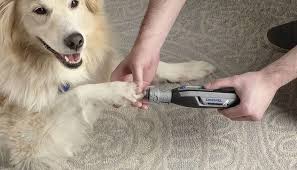 the best dog nail grinder for 2023