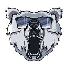 Bear Logo Illustration On Behance