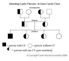 Cystic Fibrosis Carrier