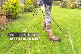 Is Weed And Feed Safe For Dogs Will It