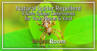 natural spider repellent 9 safe spider