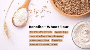 what are the benefits of wheat flour