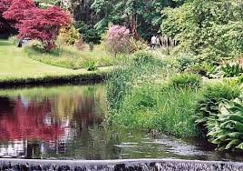 mount usher gardens dublin garden trail
