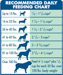 Blue Buffalo Lamb Brown Rice Life Protection Formula Dry Dog Food