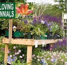 Wolf Hill Home Garden The Bridge