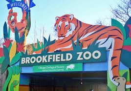 Lincoln Park Zoo vs. Brookfield Zoo ...