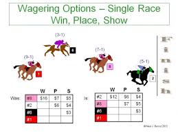 Win Place Show How To Bet On Horses Getting Out Of The