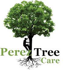Maybe you would like to learn more about one of these? Tree Trimming Removal Burnet Georgetown Tx Perez Tree Care