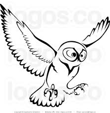 Owl Outline Drawing