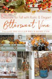 rustic and elegant bittersweet vine