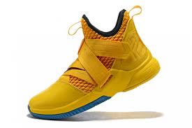 Since 2003, when lebron james shoes were first introduced, people have been going gaga over it. Lebron James Shoes Xii