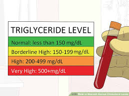 4 Ways To Maintain Normal Cholesterol Levels Wikihow