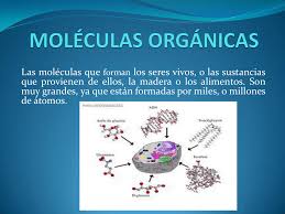 moléculas orgánicas