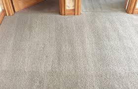 carpet cleaning auckland central 0800