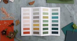 Our Earth Tone Colours Luxury Paint