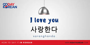 Jadi kamu bisa katakan salanghae yang artinya aku cinta kamu. Bahasa Korea I Love You Belajar