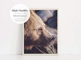 Bear Print Bear Printable Nursery