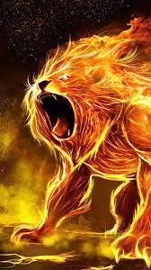 fire lion danger lion hd phone