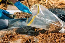 The Complete How To Sterilize Soil
