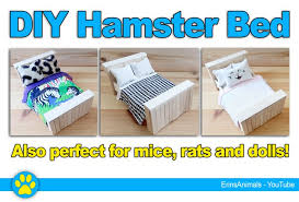 A Cute Diy Bed For Your Hamster Mouse