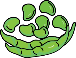 Free Bean Cliparts, Download Free Bean Cliparts png images, Free ClipArts  on Clipart Library
