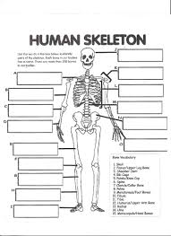 The digestive system is one of the vital systems of all living beings. Digestive System Labeling Worksheet Answers Human Skeleton Worksheets For 5th Grade Skeleton Worksheets For 5th Grade Worksheets Math In Practice 4games Hotel Math Problem Free 5th Grade Math Assessment Test Printable Cool