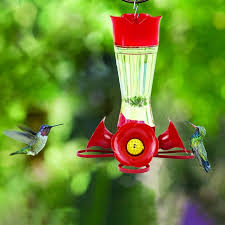 pinch waist glass hummingbird feeder
