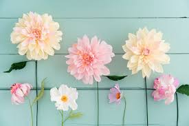20 diy paper flowers how to make
