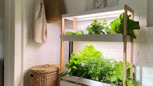 rise gardens indoor hydroponic system