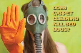 does carpet cleaning kill bed bugs