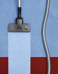 carpet cleaning services universal