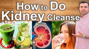 kidney detox how to do a kidney