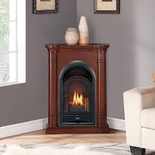 Procom Fs100t 3w Ventless Fireplace