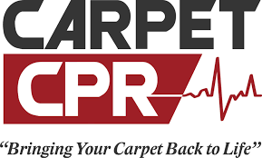 3 best carpet cleaning services