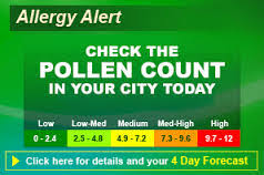 What Are The Pollen Seasons In North Carolina