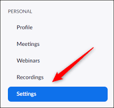 If a host needs someone else to be able to start the meeting, they can assign an alternative host. How To Add A Co Host To A Zoom Meeting