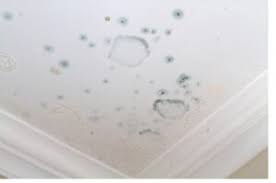 flat roof condensation solutions