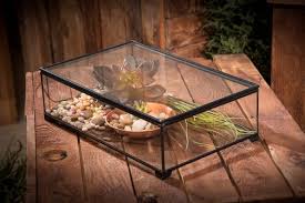 Display Box Large Clear Glass Case