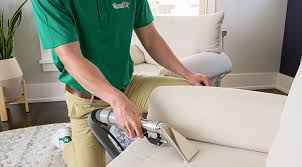 professional carpet upholstery cleaning