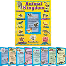 Animal Kingdom Science Chart 52276 Newsmov
