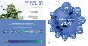 Infographic The Big Pharma Takeover Of Medical Cannabis