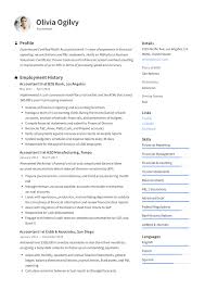 accountant resume & writing guide +12