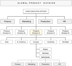 Organizational Structures In International Business