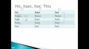 Hic Haec Hoc The First Demonstrative Pronoun Adjective
