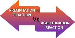 Difference Between Precipitation And Agglutination Reaction