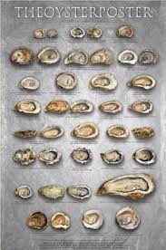 The Oyster Poster Wall Chart By Bill Marinelli American Image