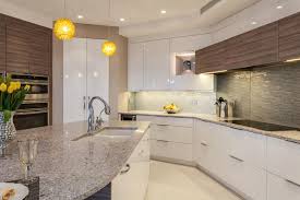 contemporary denver kitchen features