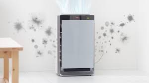 do air purifiers help with mold live