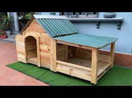 Fun House Design Ideas For Your Pets
