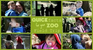 1) what animal has the longest lifespan? Quick Facts For Your Zoo Field Trip Free Printable Zoo Trivia Meet Penny